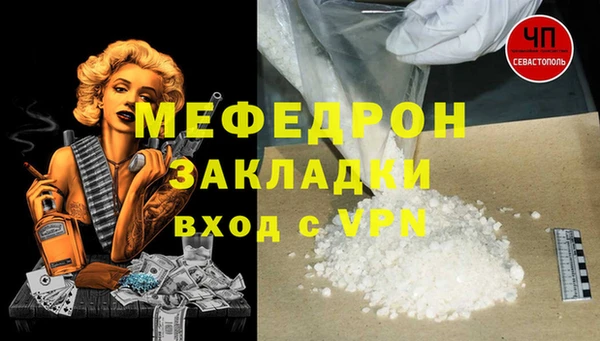 ECSTASY Богданович